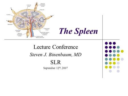 The Spleen Lecture Conference Steven J. Binenbaum, MD SLR September 12 th, 2007.