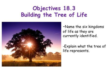 Objectives 18.3 Building the Tree of Life