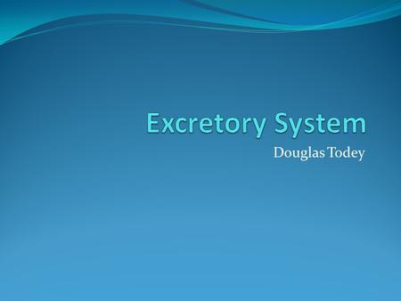 Douglas Todey. Function The main function of the excretory system is to rid the body of waste It consists of the kidney and its functional unit, the nephron.