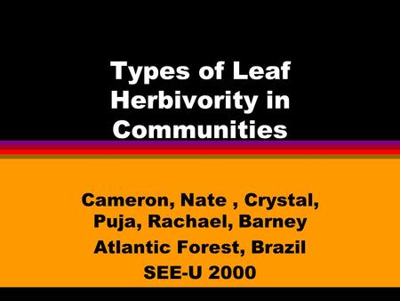 Types of Leaf Herbivority in Communities Cameron, Nate, Crystal, Puja, Rachael, Barney Atlantic Forest, Brazil SEE-U 2000.