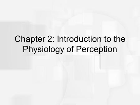Chapter 2: Introduction to the Physiology of Perception.