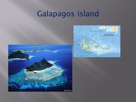 Galapagos island. The Galapagos island’s wildlife *The Galapagos islands are home of the large number of unique species. *This island is named for it’s.