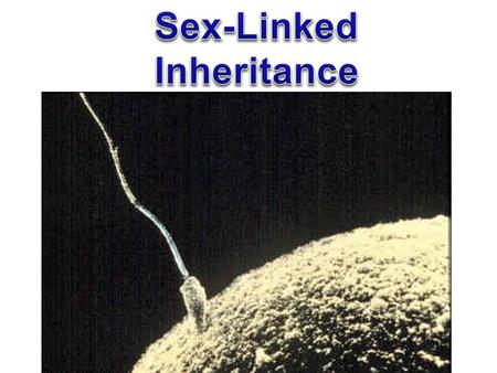 Sex-Linked Inheritance.