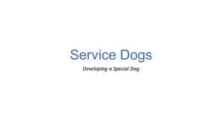 Service Dogs Developing a Special Dog. Service dogs are dogs with exceptional abilities and training that serve as companions to people with unique abilities.