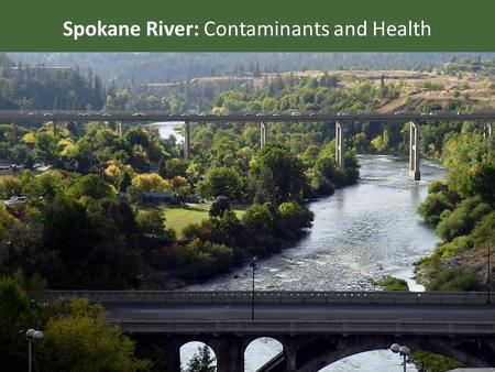 Spokane River: Contaminants and Health. Chemicals and Heavy Metals 1.PCBs 2.PBDEs 3.Dioxins/Furans 4.Metals Biological Hazards Public Health Risks.