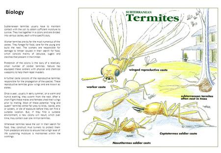 Biology Subterranean termites usually have to maintain contact with the soil to obtain sufficient moisture to survive. They live together in a colony and.