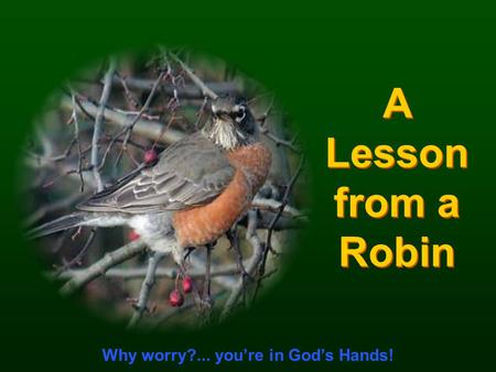 CLICK TO ADVANCE SLIDES ♫ Turn on your speakers! ♫ Turn on your speakers! A Lesson from a Robin A Lesson from a Robin Why worry?... you’re in God’s Hands!