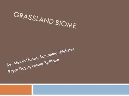 GRASSLAND BIOME By: Alexys Hanes, Samantha Webster Bryce Doyle, Nicole Spillane.
