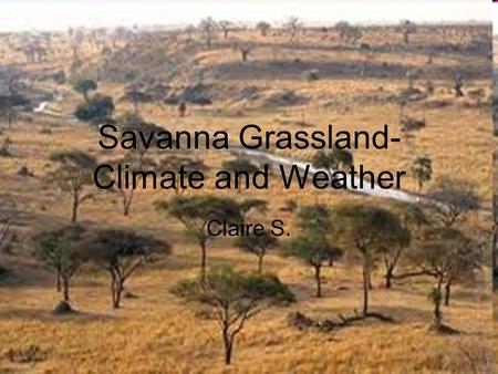 Savanna Grassland- Climate and Weather Claire S..