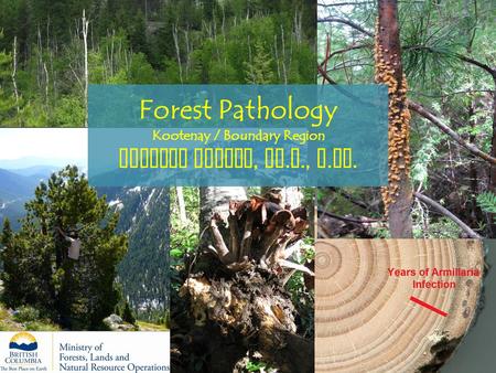 Forest Pathology Kootenay / Boundary Region Michael Murray, Ph. D., P. Ag.