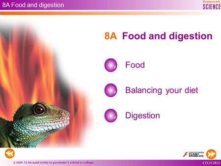 © OUP: To be used solely in purchaser’s school or college 8A Food and digestion Food Balancing your diet Digestion 8A Food and digestion.