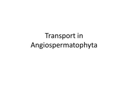 Transport in Angiospermatophyta