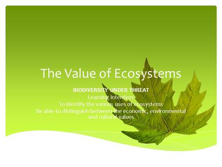 The Value of Ecosystems