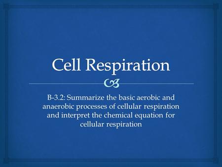 B-3.2: Summarize the basic aerobic and anaerobic processes of cellular respiration and interpret the chemical equation for cellular respiration.