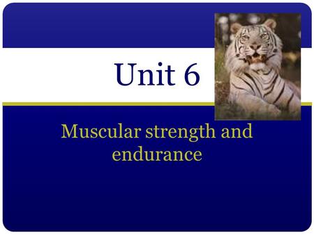 Muscular strength and endurance