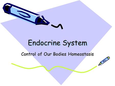 Endocrine System Control of Our Bodies Homeostasis.