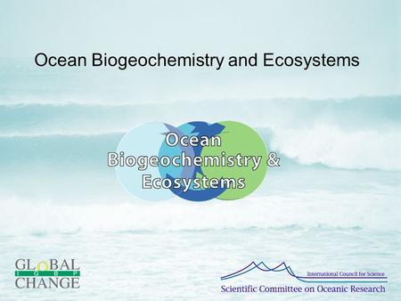 Ocean Biogeochemistry and Ecosystems. History Development How to contribute.