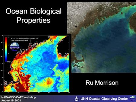 UNH Coastal Observing Center NASA GEO-CAPE workshop August 19, 2008 Ocean Biological Properties Ru Morrison.