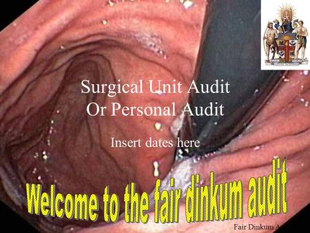 Fair Dinkum Audit Surgical Unit Audit Or Personal Audit Insert dates here.