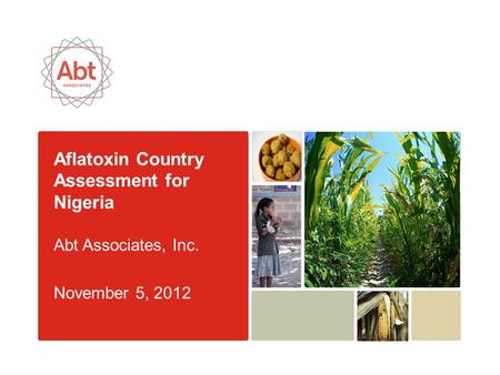 Aflatoxin Country Assessment for Nigeria Abt Associates, Inc. November 5, 2012.