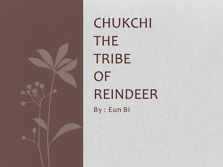 By : Eun Bi CHUKCHI THE TRIBE OF REINDEER. Origin/Location Chukchis live in the northeastern of Siberia, along the coast of the Artic Ocean Chukchi was.