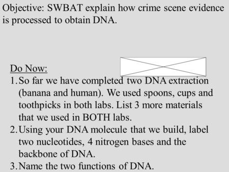 Objective: SWBAT explain how crime scene evidence is processed to obtain DNA. Do Now: 1.So far we have completed two DNA extraction (banana and human).