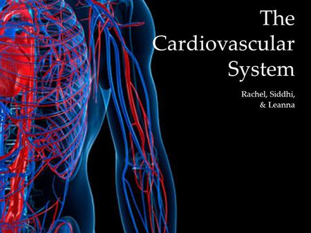 { The Cardiovascular System Rachel, Siddhi, & Leanna.