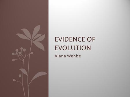 Alana Wehbe EVIDENCE OF EVOLUTION. Palaeontology Fossils If there have been no geological upheavals, older sedimentary rocks contain earlier fossils.