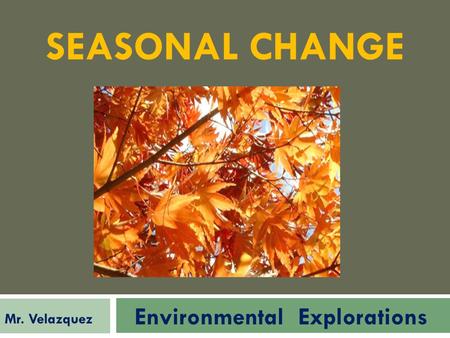 SEASONAL CHANGE Environmental Explorations Mr. Velazquez.