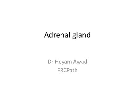 Adrenal gland Dr Heyam Awad FRCPath.
