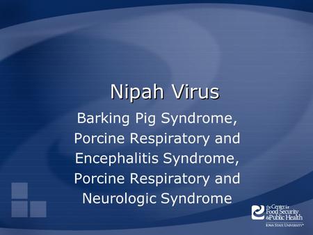 Nipah Virus Barking Pig Syndrome, Porcine Respiratory and