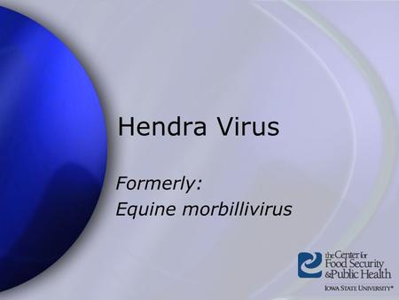 Hendra Virus Formerly: Equine morbillivirus. Center for Food Security and Public Health Iowa State University - 2004 Overview Organism History Epidemiology.