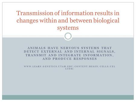 ANIMALS HAVE NERVOUS SYSTEMS THAT DETECT EXTERNAL AND INTERNAL SIGNALS, TRANSMIT AND INTEGRATE INFORMATION, AND PRODUCE RESPONSES WWW.LEARN.GENETICS.UTAH.EDU/CONTENT/BEGIN/CELLS/CEL.