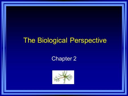 The Biological Perspective Chapter 2. Copyright © 2011 Pearson Education, Inc. All rights reserved. Overview of Nervous System Nervous System - an extensive.