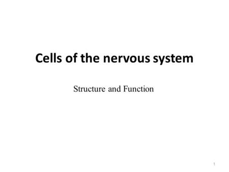 1 Cells of the nervous system Structure and Function.