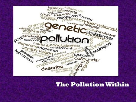 The Pollution Within. Overview  The Definition  Genetic Engineering  Invasive Species  Controversial Term  Back Breeding  Genetic Erosion.