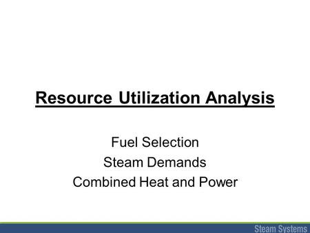 Resource Utilization Analysis Fuel Selection Steam Demands Combined Heat and Power.