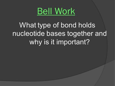 Bell Work What type of bond holds nucleotide bases together and why is it important?