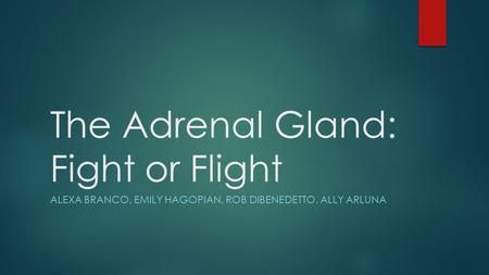 The Adrenal Gland: Fight or Flight ALEXA BRANCO, EMILY HAGOPIAN, ROB DIBENEDETTO, ALLY ARLUNA.