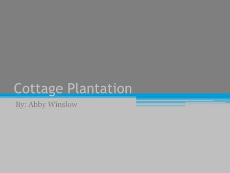 Cottage Plantation By: Abby Winslow. Cottage plantation Located in St. Francsville, Louisiana The land was secured by John Allen and Patrick Holland with.
