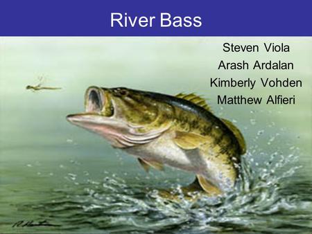 River Bass Steven Viola Arash Ardalan Kimberly Vohden Matthew Alfieri.