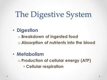 The Digestive System Digestion Metabolism Breakdown of ingested food