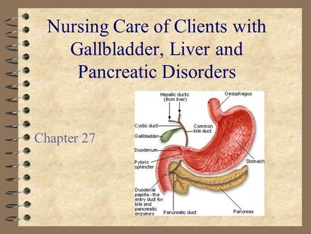 Nursing Care of Clients with Gallbladder, Liver and Pancreatic Disorders Chapter 27.