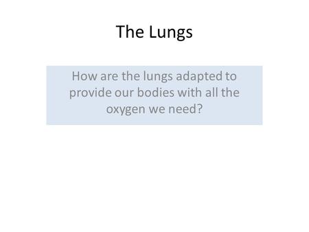 The Lungs How are the lungs adapted to provide our bodies with all the oxygen we need?