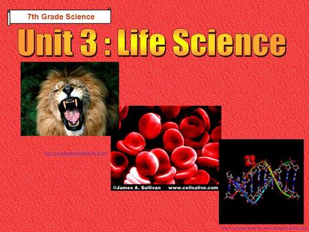 Unit 3 : Life Science 7th Grade Science