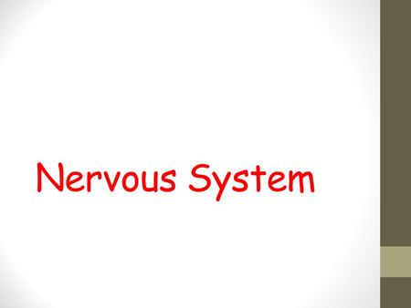 Nervous System. Neurology – study of the nervous system nervous & endocrine systems work together to maintain homeostasis.