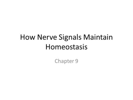 How Nerve Signals Maintain Homeostasis