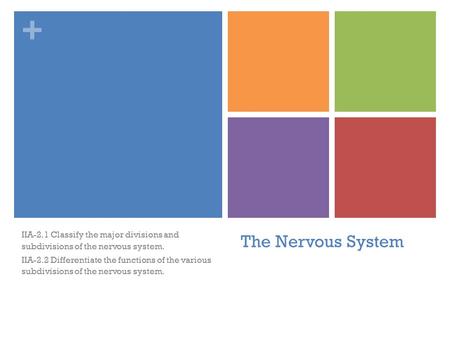 + The Nervous System IIA-2.1 Classify the major divisions and subdivisions of the nervous system. IIA-2.2 Differentiate the functions of the various subdivisions.