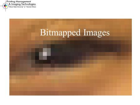 Bitmapped Images. Bitmap Images Today’s Objectives Identify characteristics of bitmap images Resolution, bit depth, color mode, pixels Determine the most.