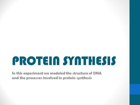 PROTEIN SYNTHESIS In this experiment we modeled the structure of DNA and the processes involved in protein synthesis.